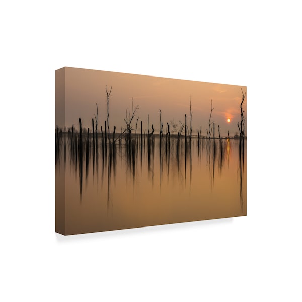 Piet Haaksma 'Drowned Forest' Canvas Art,16x24